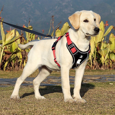 Explosion-proof Chest Strap Medium Large Dog Vest